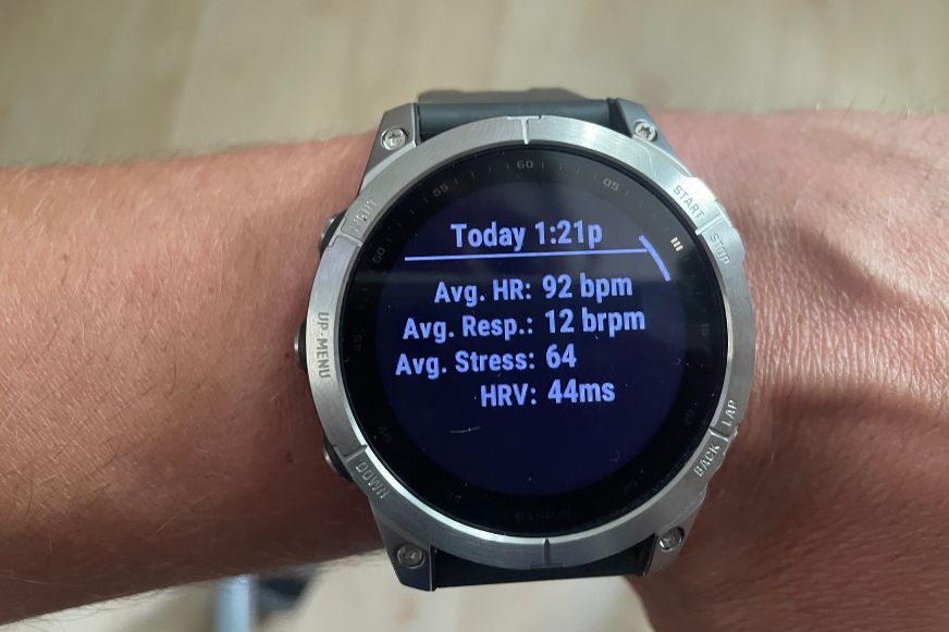 Garmin fenix samsung sales health